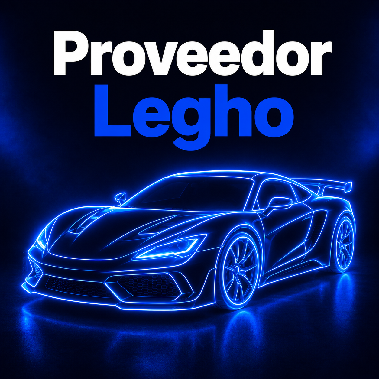 PROVEEDOR LEGHO