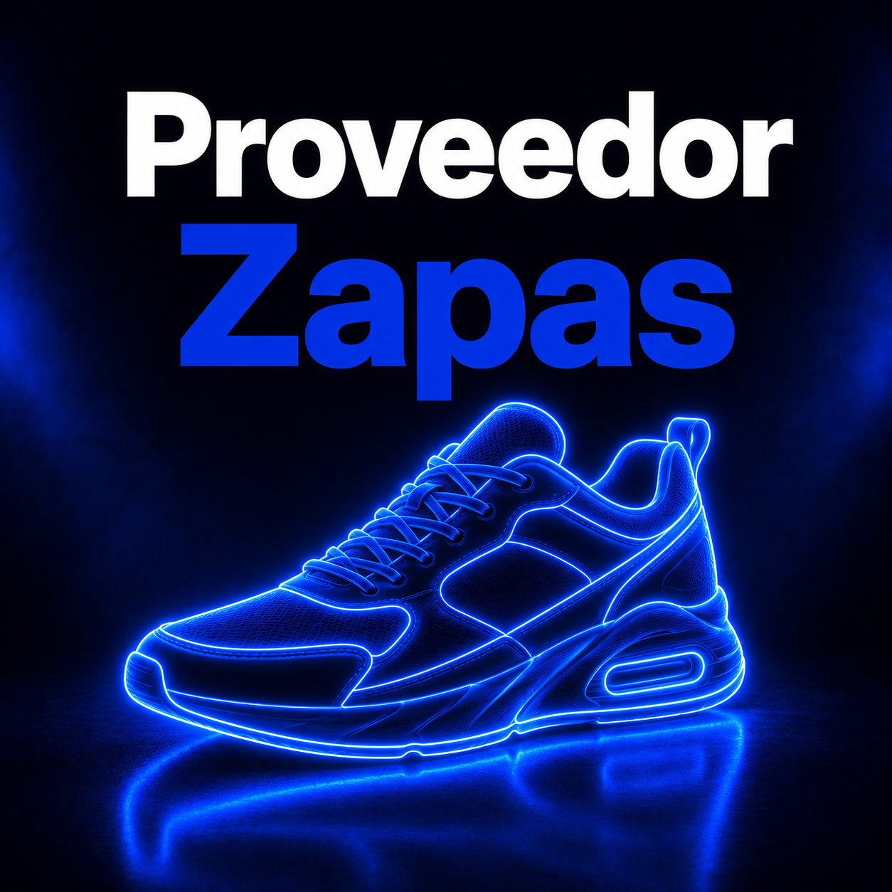 PROVEEDOR ZAPAS