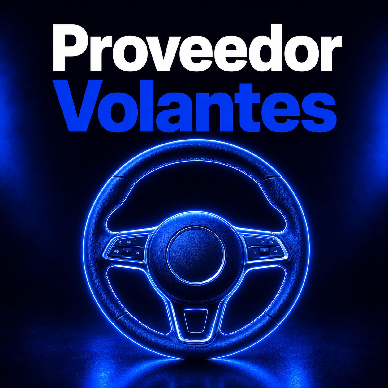 PROVEEDOR VOLANTES